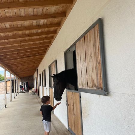 House Of Horses Shtepia E Kuajve Hotel Korce Exterior photo